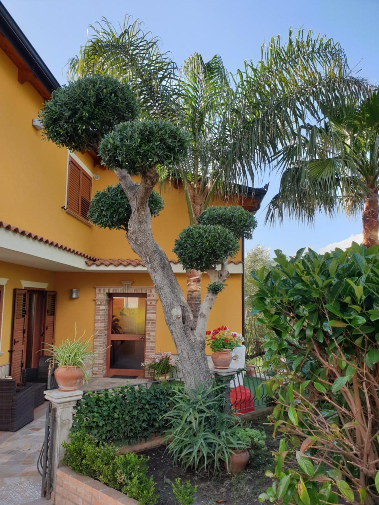 San Pietro Bed & Breakfast Mileto Luaran gambar